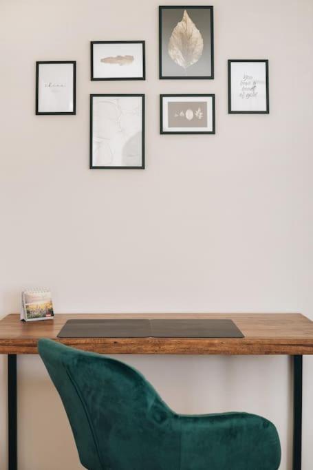 Stilvolles Apartment In Dresden Dış mekan fotoğraf