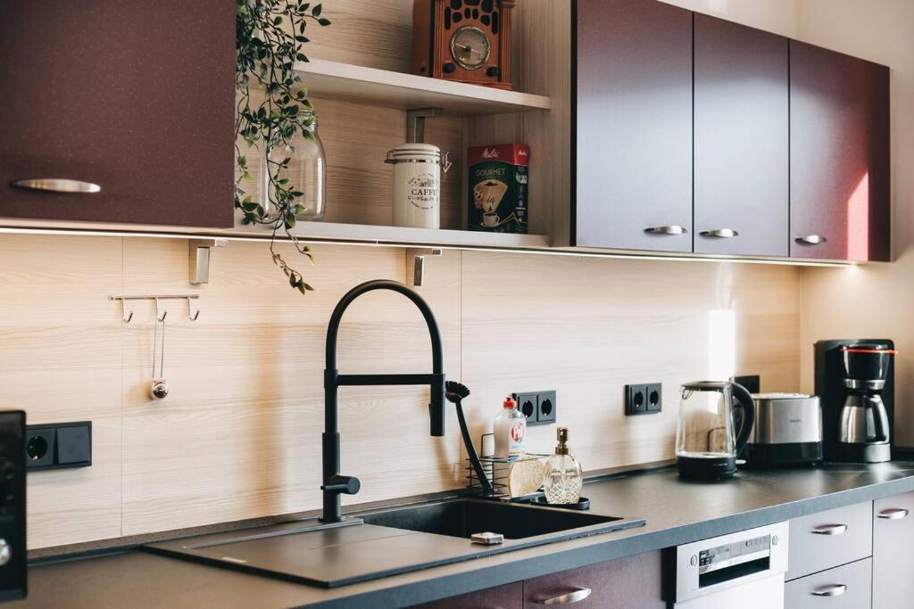 Stilvolles Apartment In Dresden Dış mekan fotoğraf